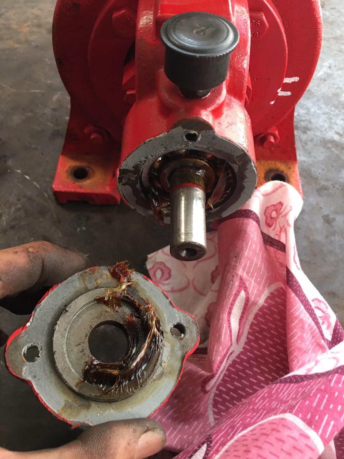 九如牌輔助泵浦(更換機械軸封及軸承)