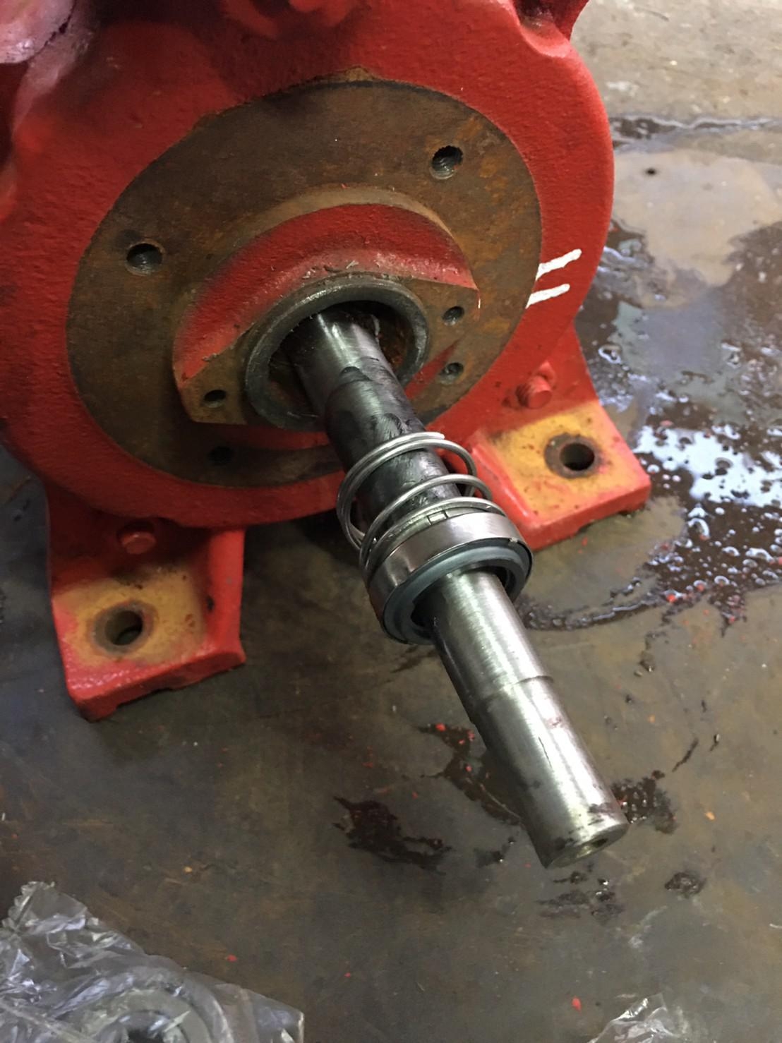 九如牌輔助泵浦(更換機械軸封及軸承)