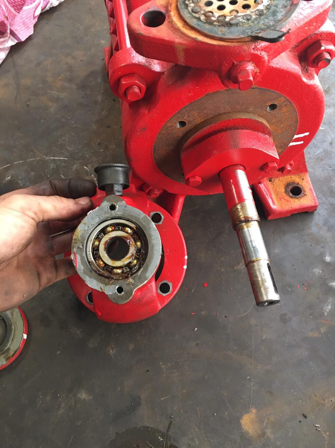 九如牌輔助泵浦(更換機械軸封及軸承)