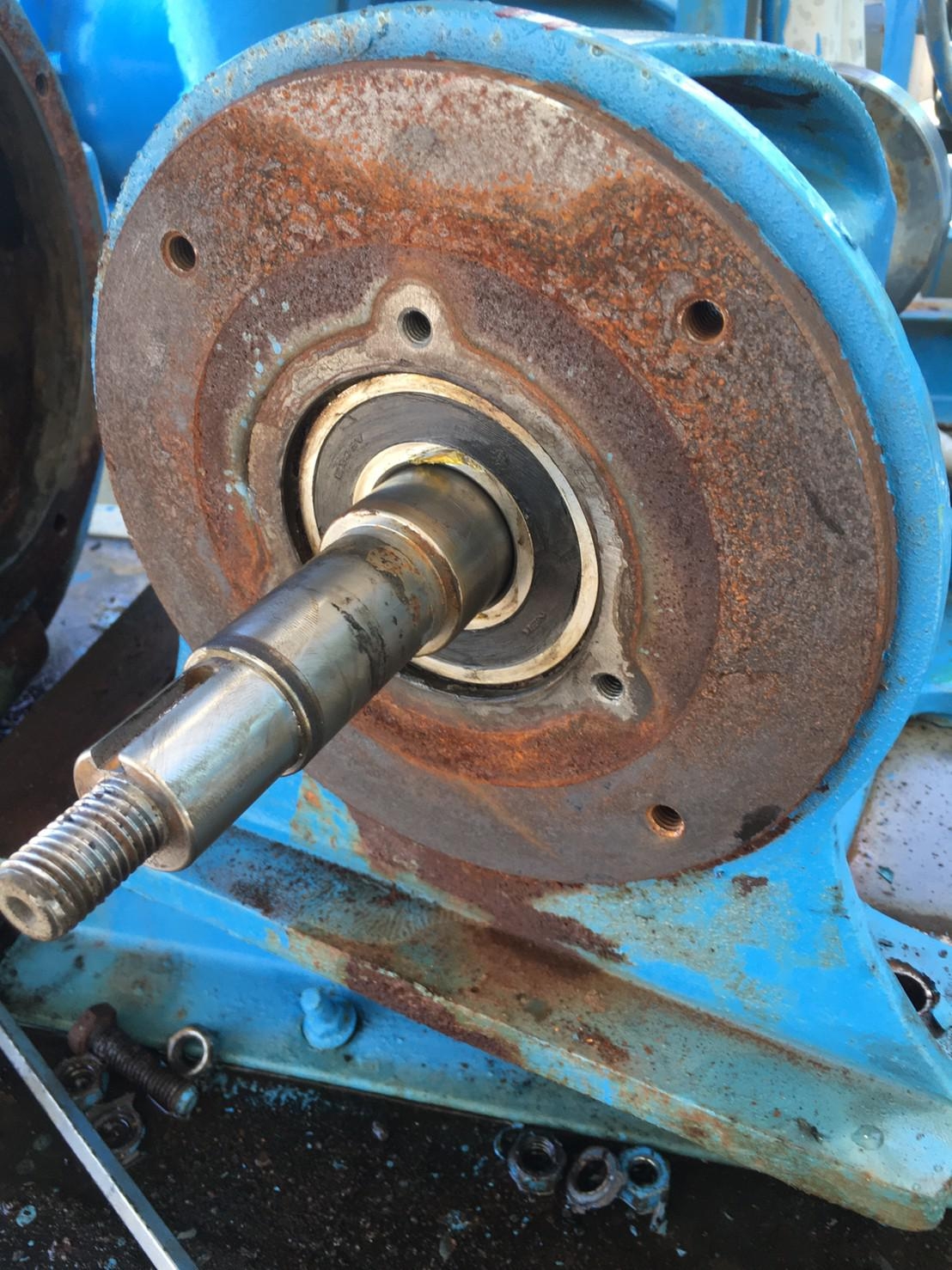 15HP聯軸式永大泵浦(更換機械軸封及軸承及線圈繞組)