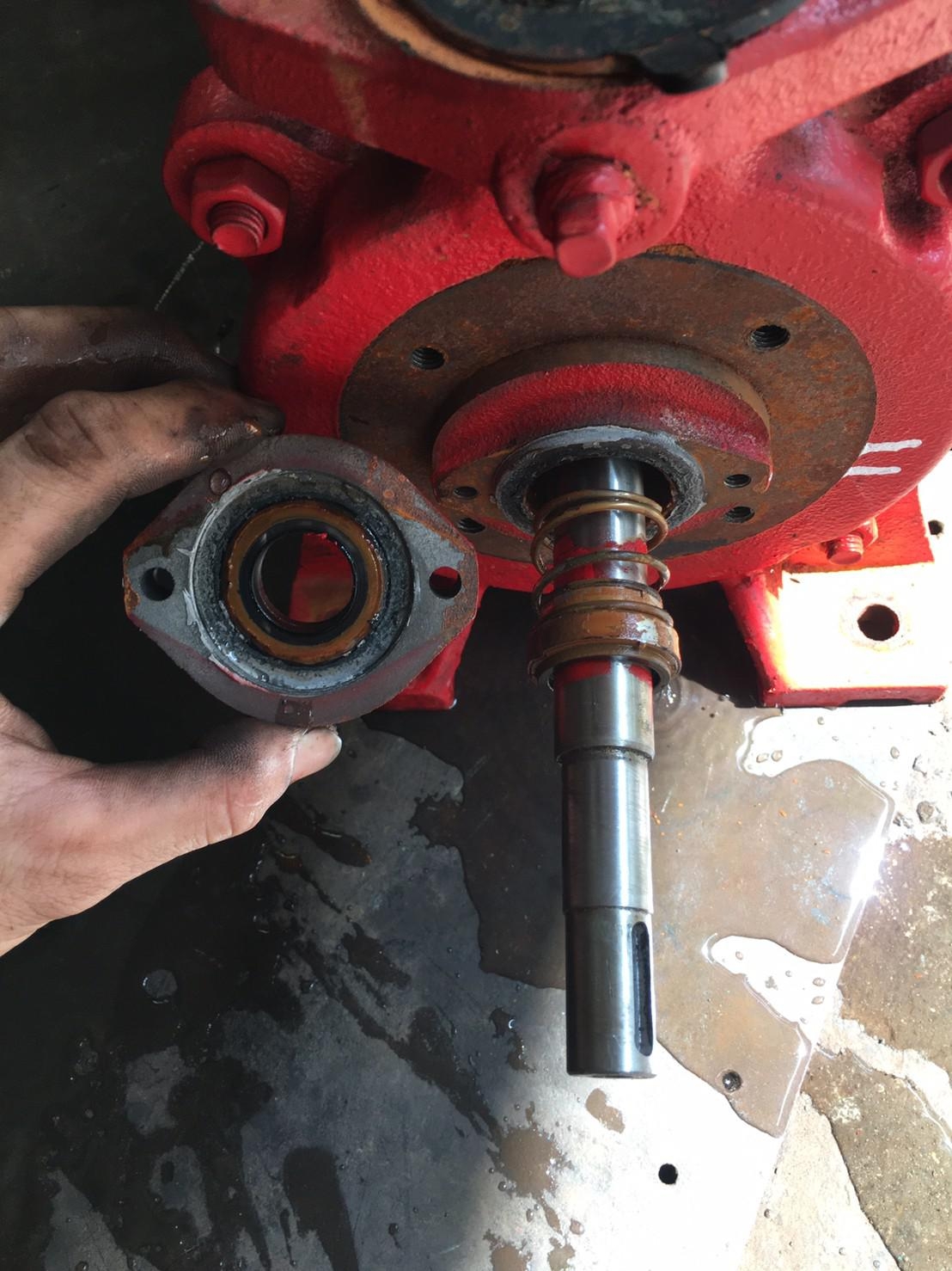 九如牌輔助泵浦(更換機械軸封及軸承)