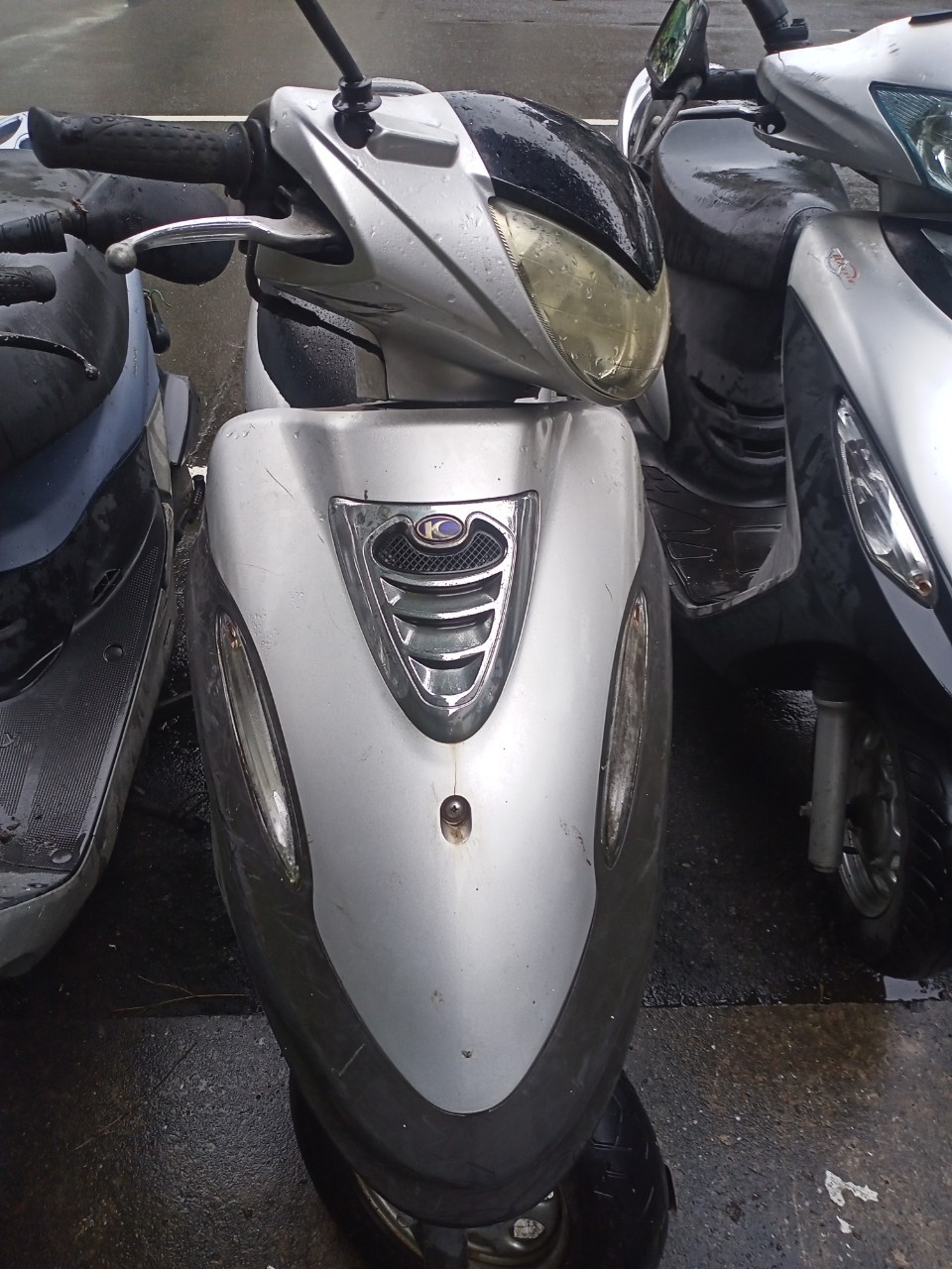 機車借款-590金泰當舖提供樹林機車借款,公營當舖,新北市當鋪,台北市當舖,24小時當舖,假日當舖,新北市機車借款,台北市汽車借款,三重機車借款,樹林機車借款,板橋機車借款,土城機車典當借款,迴龍機車借款,桃園機車借款,新莊機車借款,鶯歌機車借款,龜山機車借款,三峽機車借款,八德機車借款,林口機車借款,興仁花園夜市機車借款,新莊後港機車借款,新北市機車當鋪,新北推薦當鋪,新北低利息當鋪,機車當鋪,機車當舖124