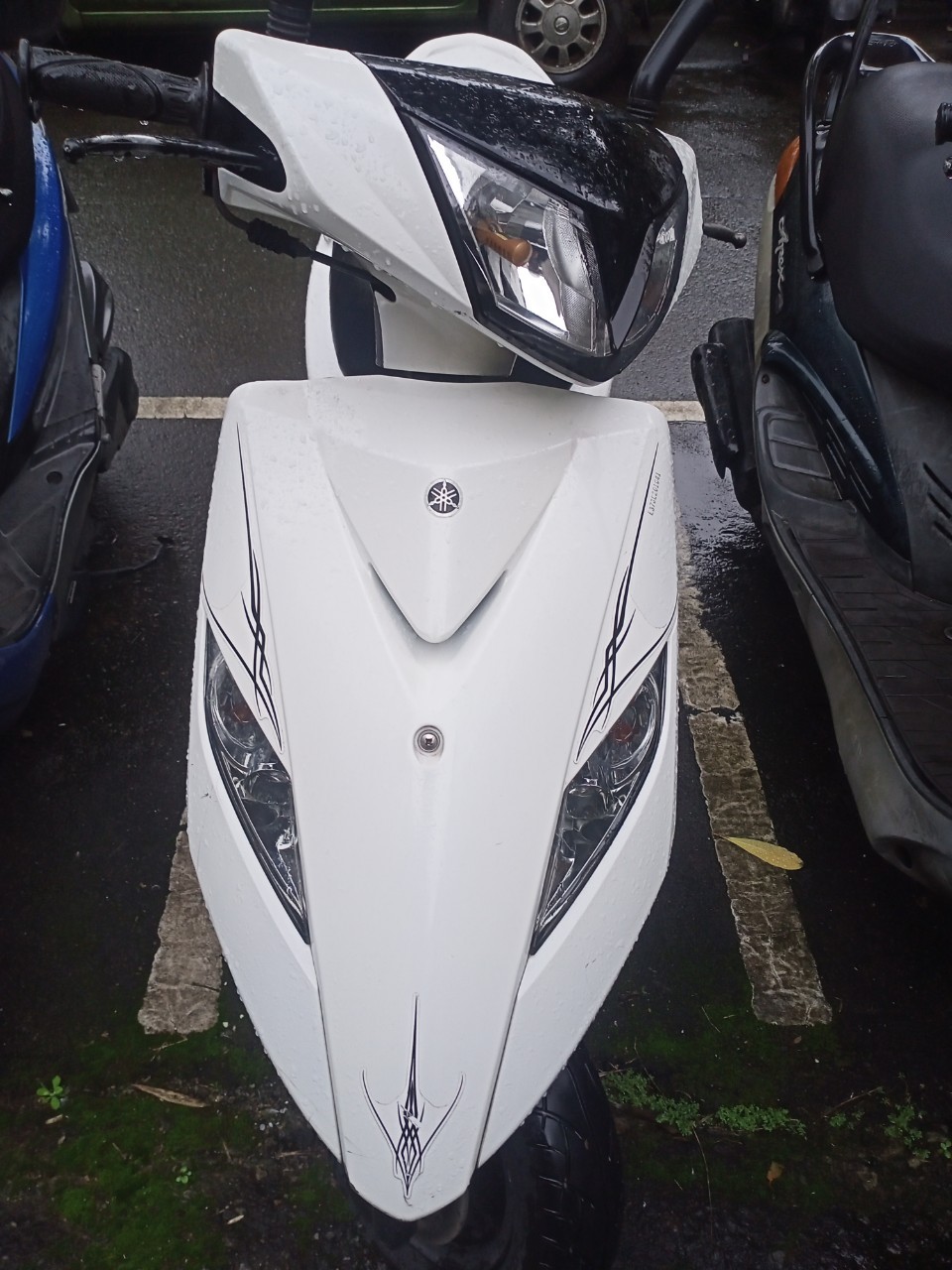 機車借款-590金泰當舖提供樹林機車借款,公營當舖,新北市當鋪,台北市當舖,24小時當舖,假日當舖,新北市機車借款,台北市汽車借款,三重機車借款,樹林機車借款,板橋機車借款,土城機車典當借款,迴龍機車借款,桃園機車借款,新莊機車借款,鶯歌機車借款,龜山機車借款,三峽機車借款,八德機車借款,林口機車借款,興仁花園夜市機車借款,新莊後港機車借款,新北市機車當鋪,新北推薦當鋪,新北低利息當鋪,機車當鋪,機車當舖94