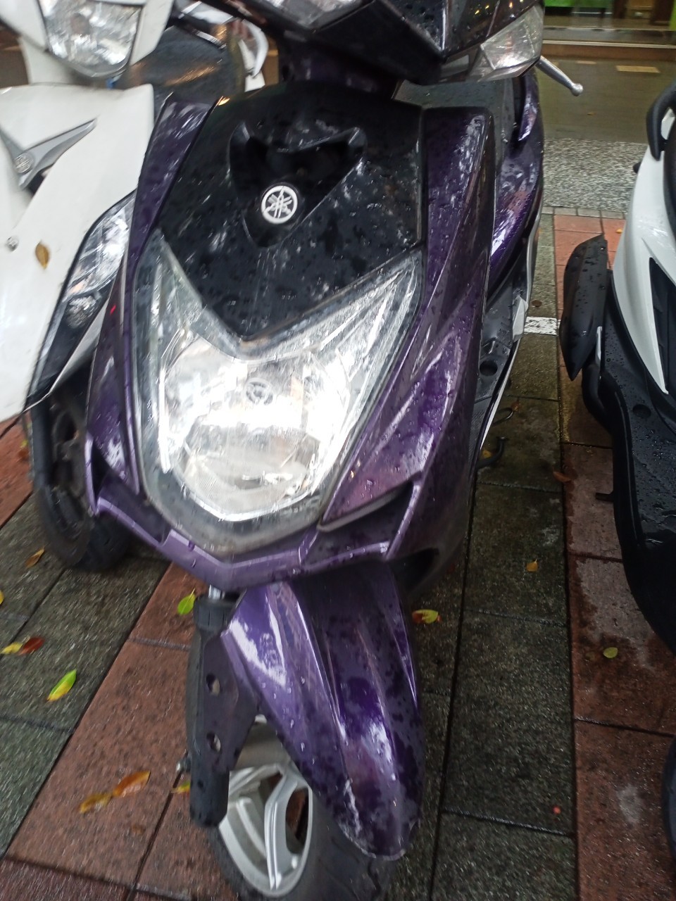 機車借款-590金泰當舖提供樹林機車借款,公營當舖,新北市當鋪,台北市當舖,24小時當舖,假日當舖,新北市機車借款,台北市汽車借款,三重機車借款,樹林機車借款,板橋機車借款,土城機車典當借款,迴龍機車借款,桃園機車借款,新莊機車借款,鶯歌機車借款,龜山機車借款,三峽機車借款,八德機車借款,林口機車借款,興仁花園夜市機車借款,新莊後港機車借款,新北市機車當鋪,新北推薦當鋪,新北低利息當鋪,機車當鋪,機車當舖30