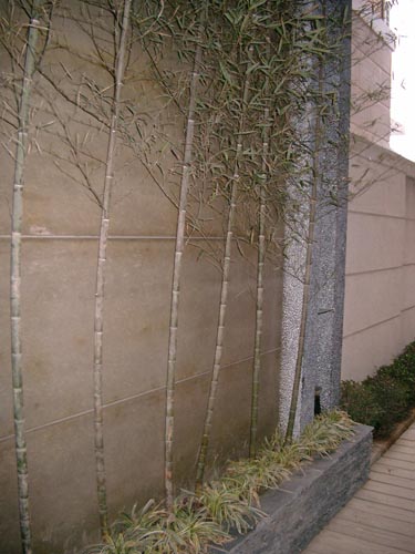 吳公館別墅庭園