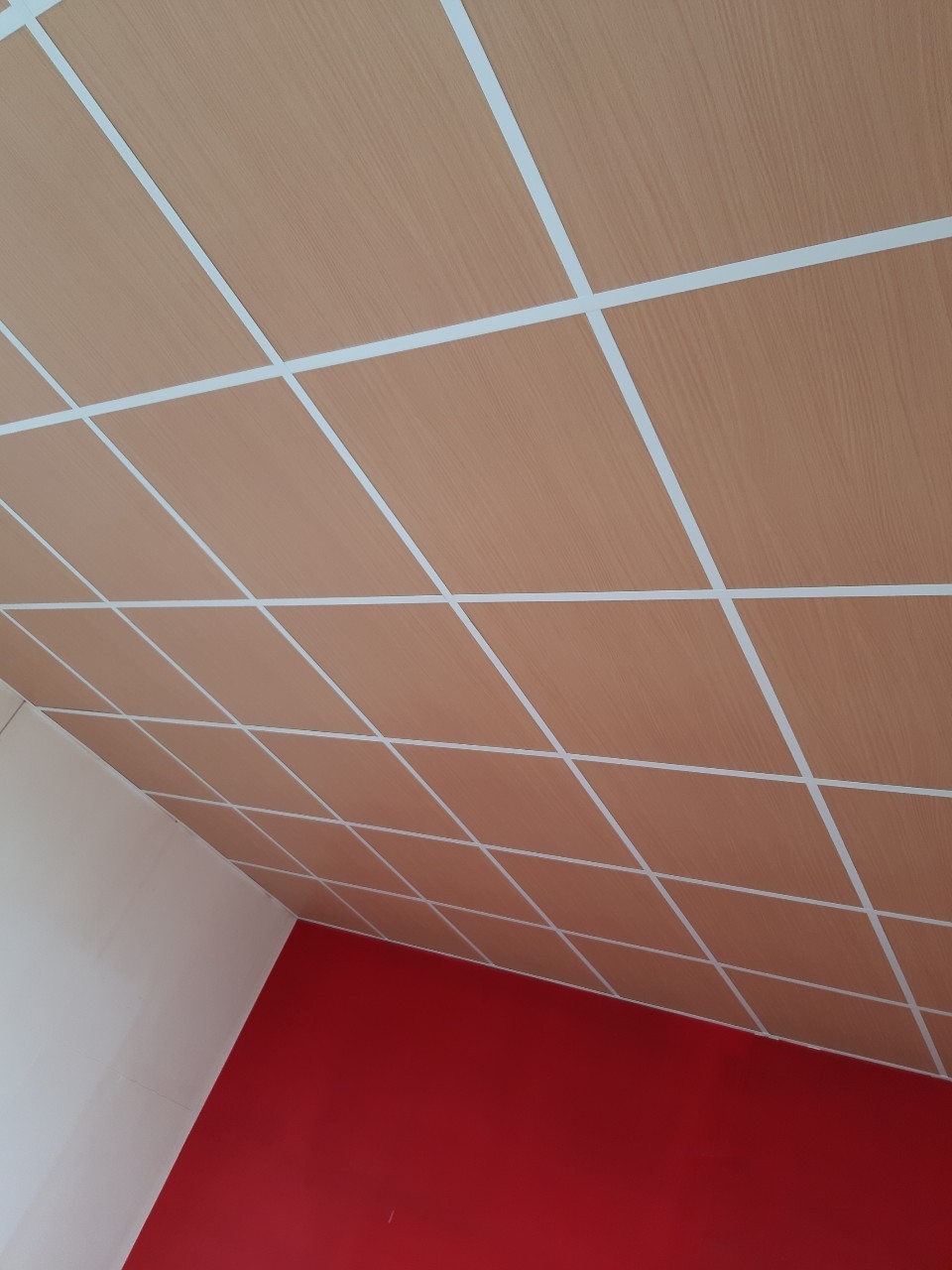 高雄天花板立體突