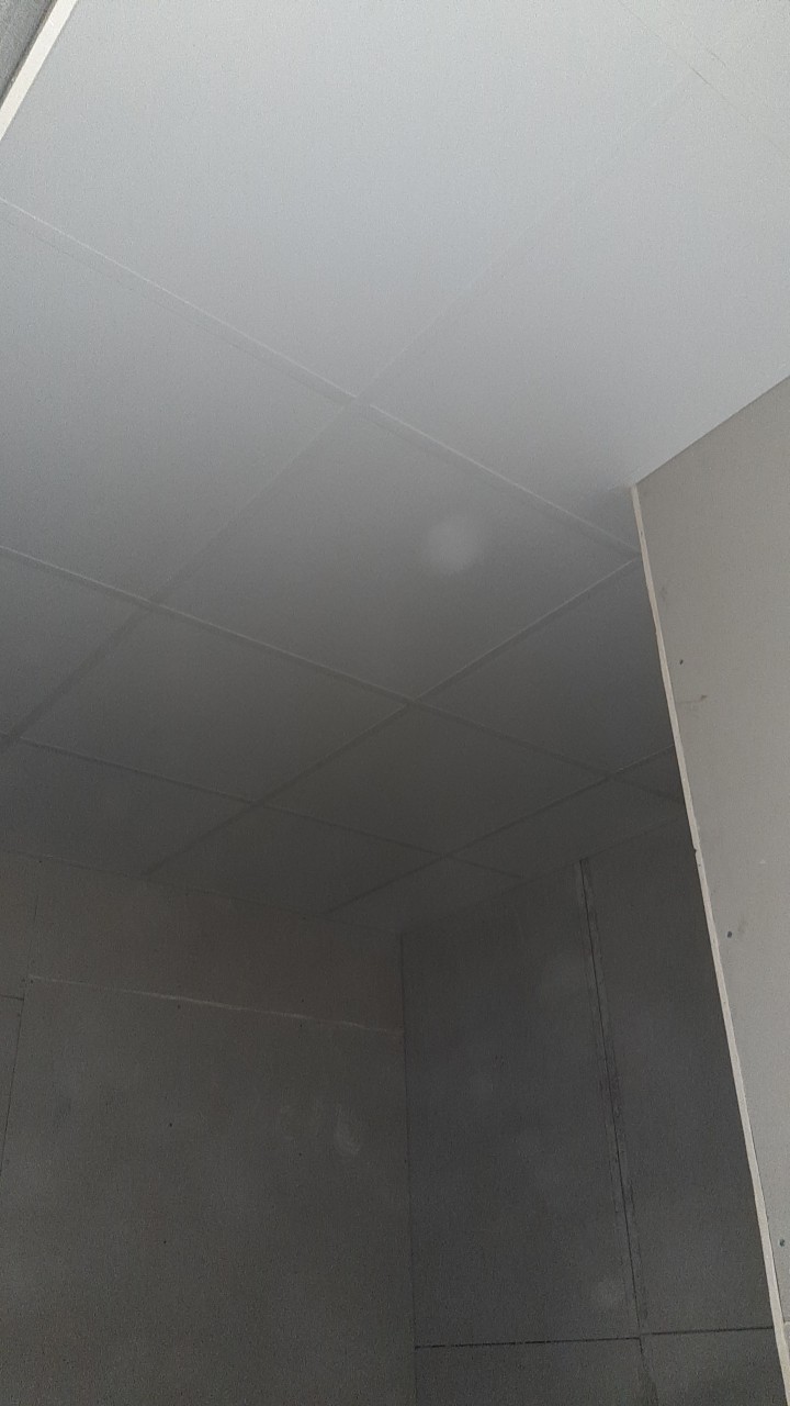 高雄天花板立體突