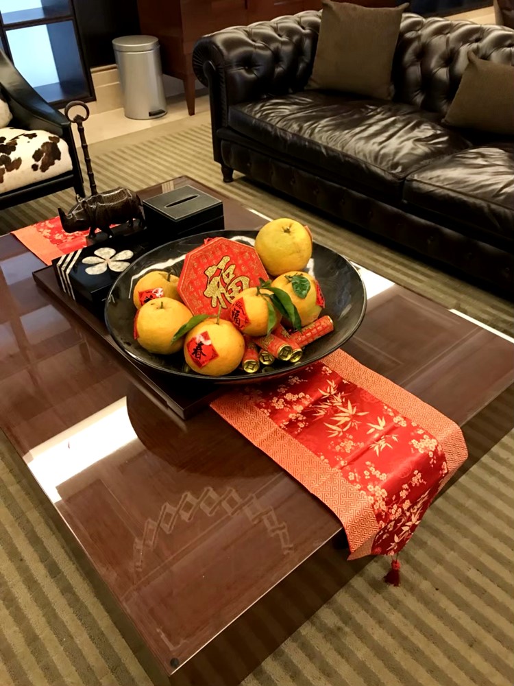 公司居家擺設蘭花