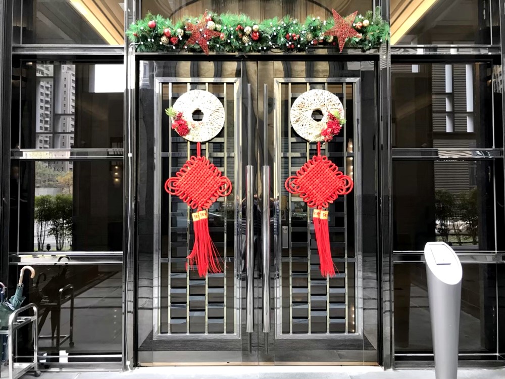 公司居家擺設蘭花