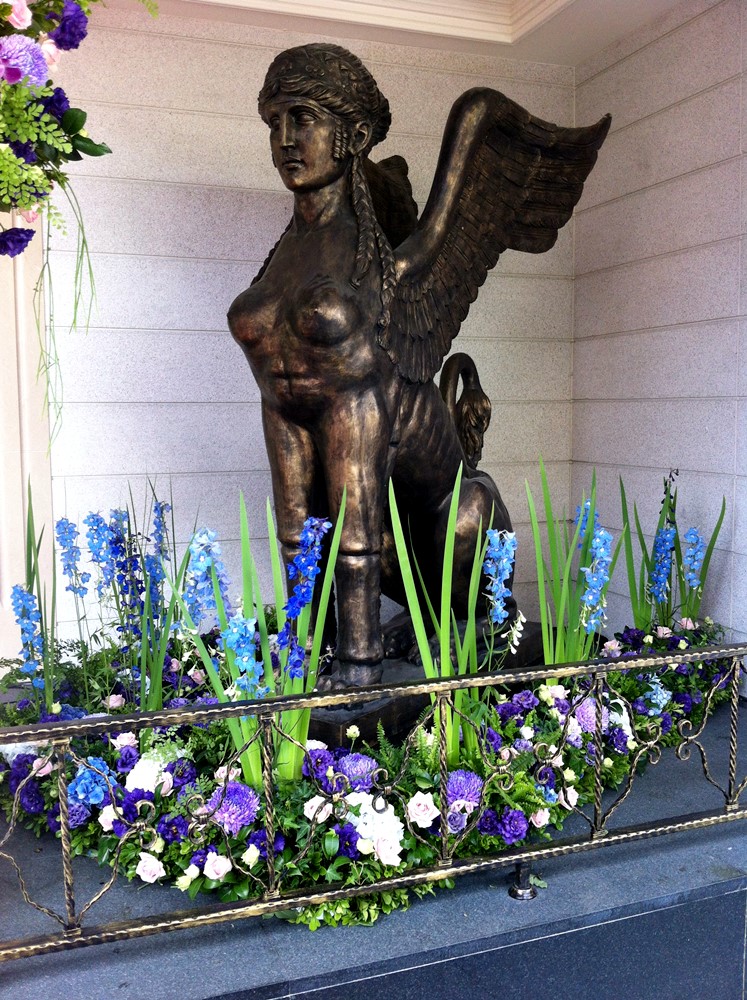 公司居家擺設蘭花