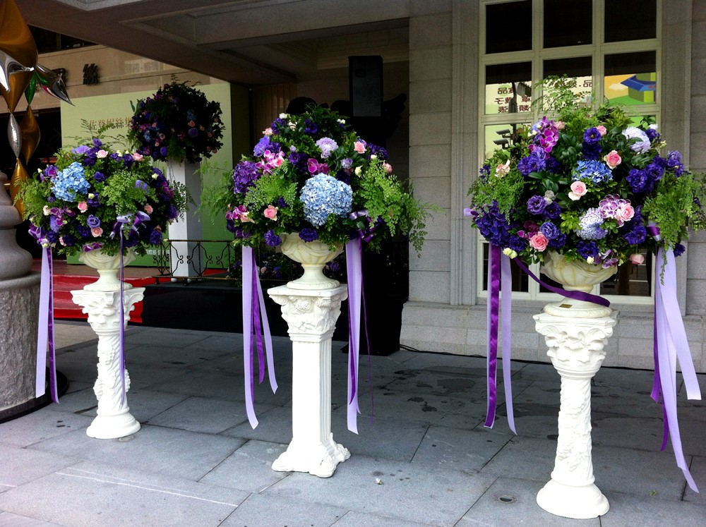 公司居家擺設蘭花