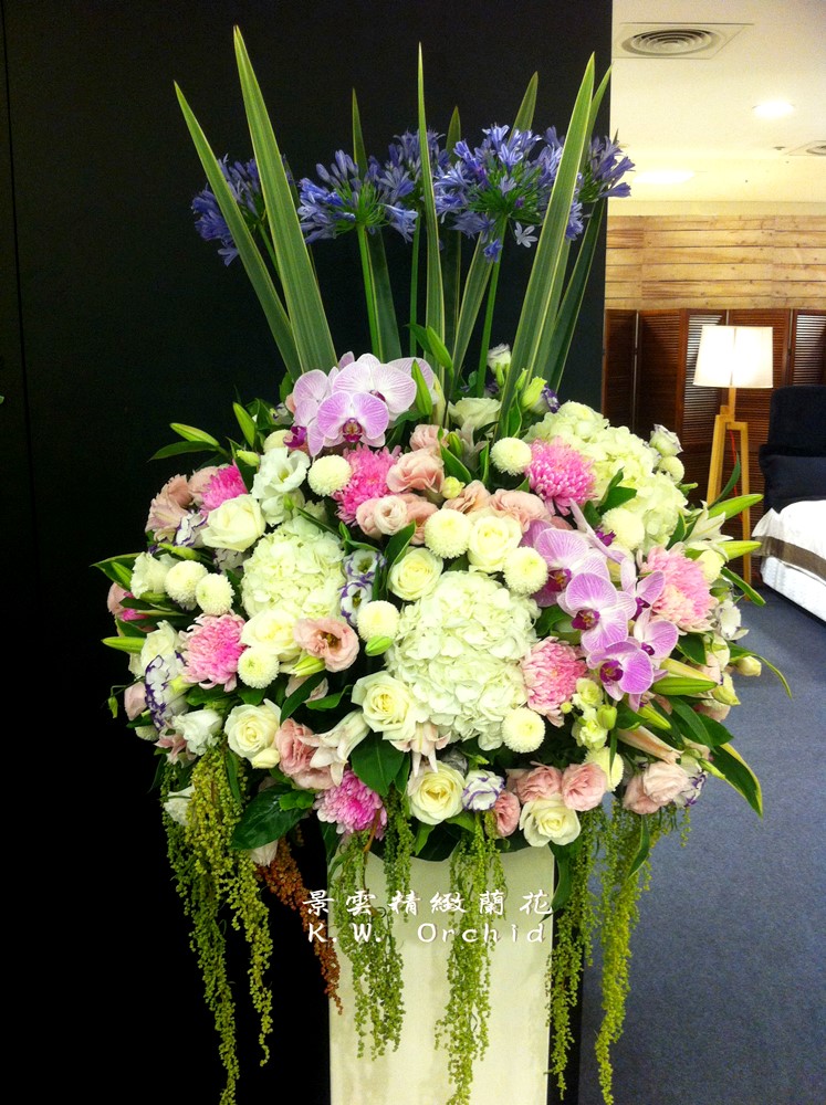 公司居家擺設蘭花