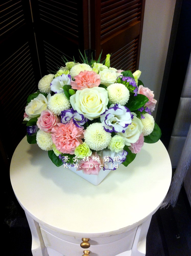 公司居家擺設蘭花