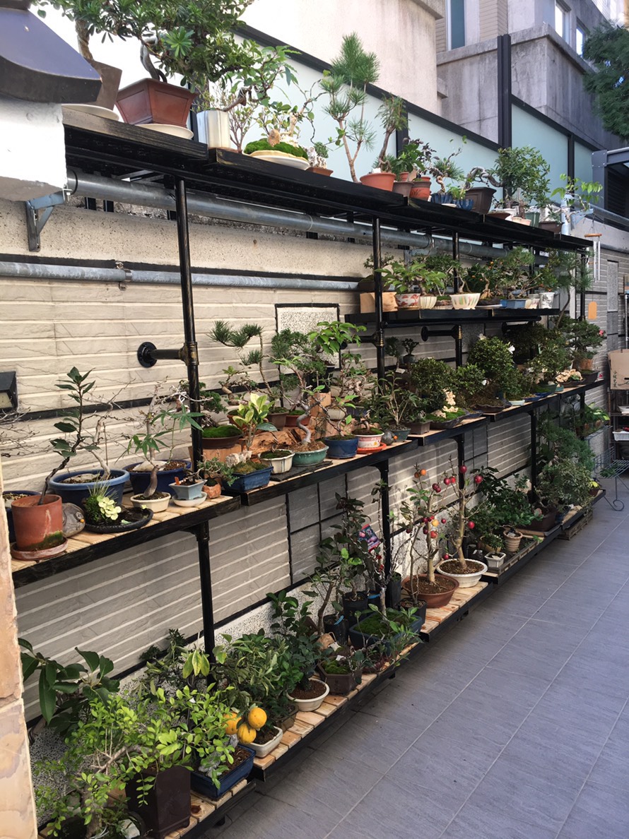 梧棲鐵件花架設計