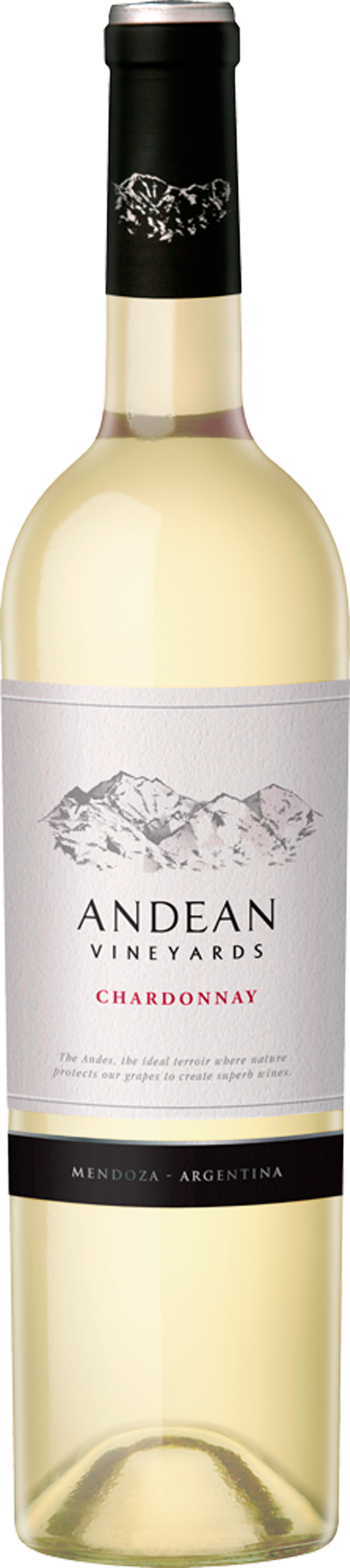 阿根廷安地斯夏多內白葡萄酒