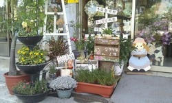 方圓藝術生活館-undefined