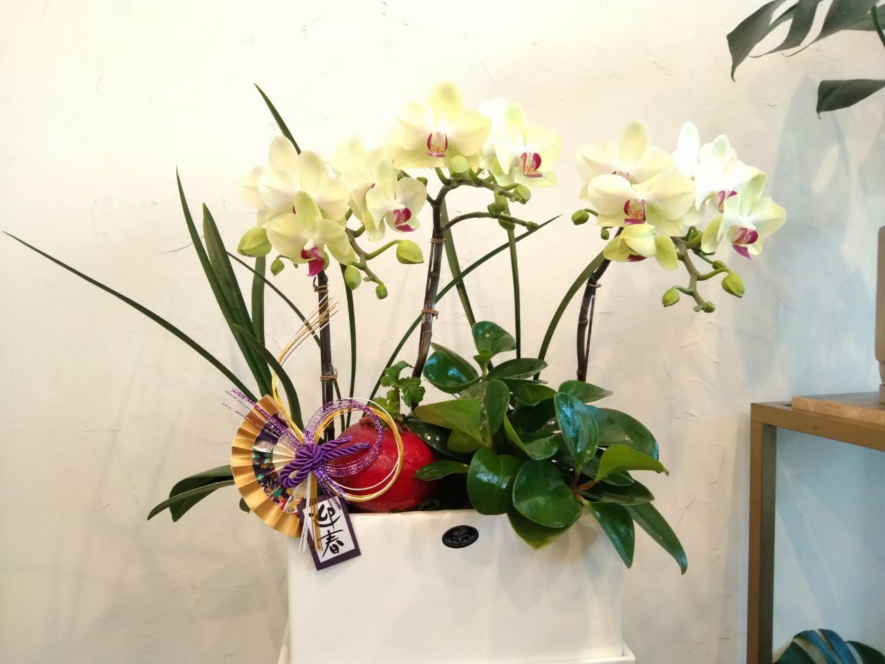 珍寶滿福進家堂