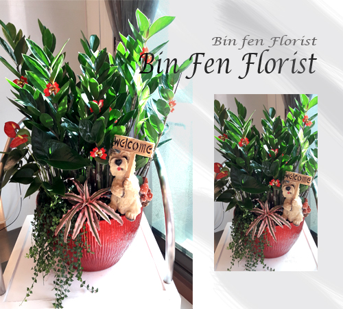 金錢入門狗來富