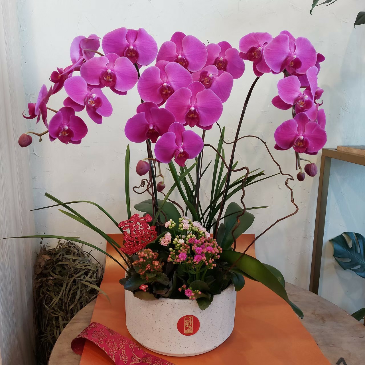 光彩增添富貴成雙