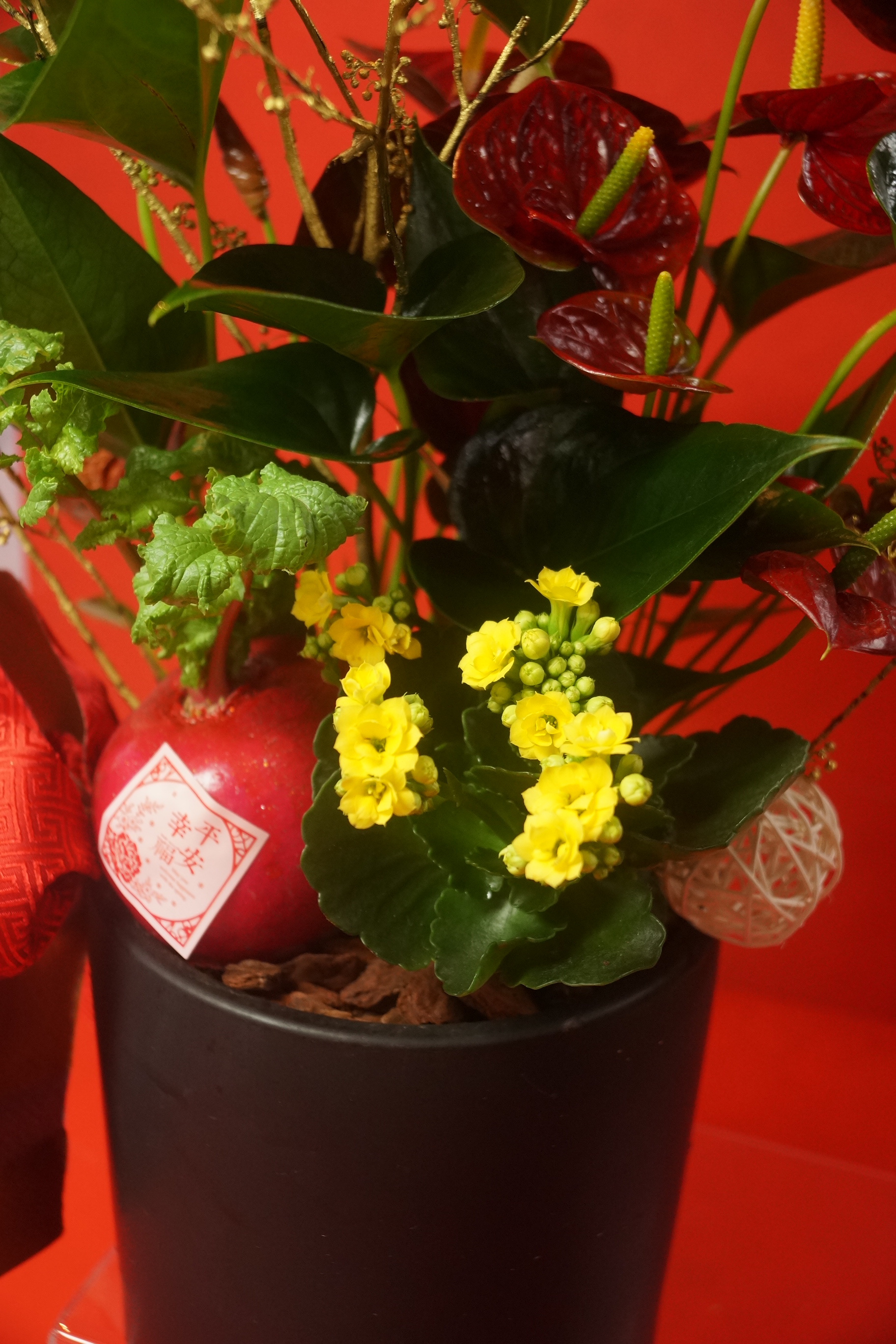 火紅賀歲好彩頭