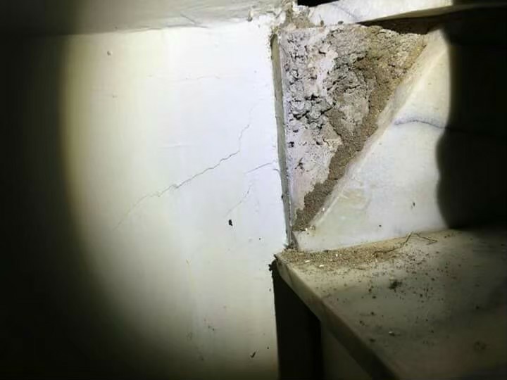 除白蟻案例&nbsp;