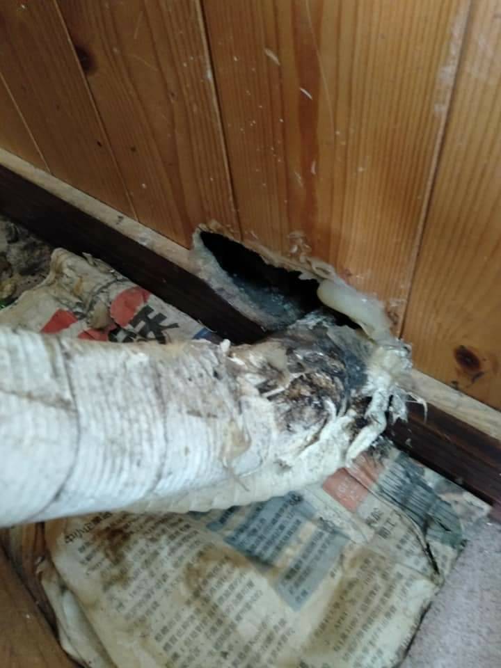 鼠害入侵點封補作業