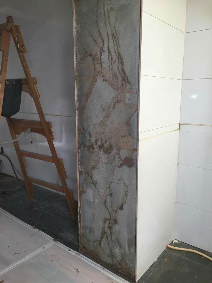 除白蟻案例&nbsp;