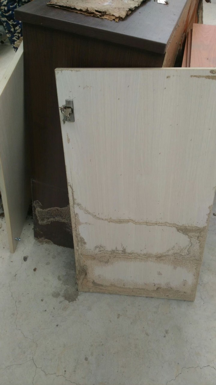 除白蟻案例&nbsp;