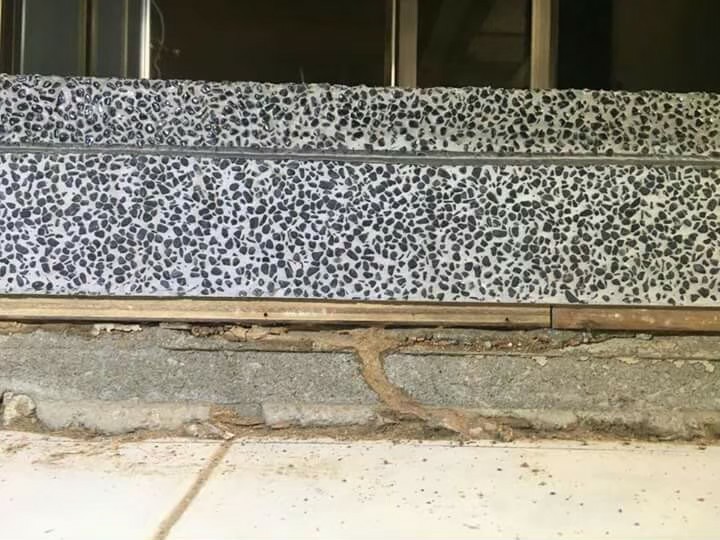 除白蟻案例&nbsp;