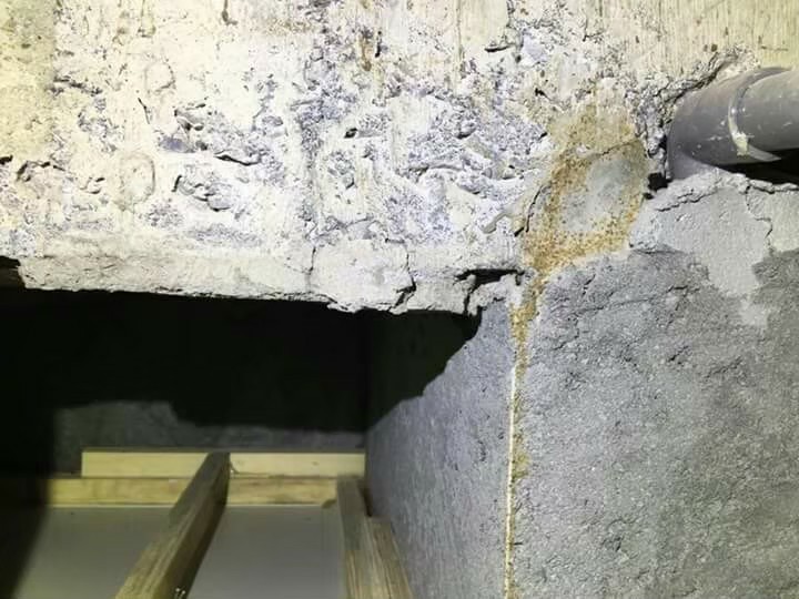 除白蟻案例&nbsp;