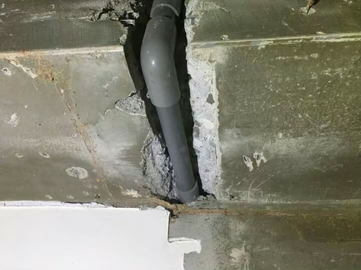 除白蟻案例&nbsp;