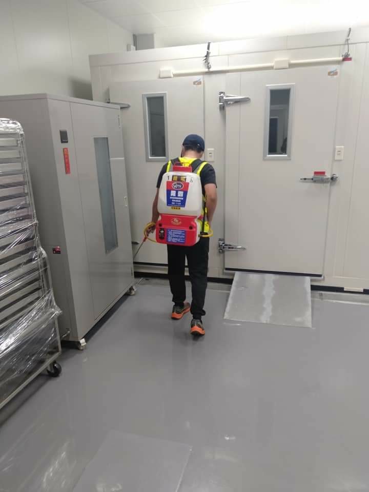 食品工廠蟑螂防治