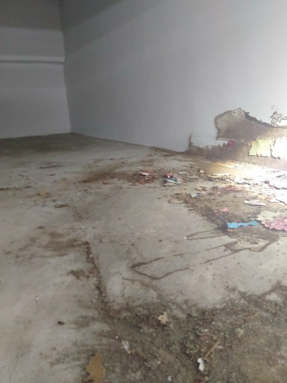 除白蟻案例&nbsp;