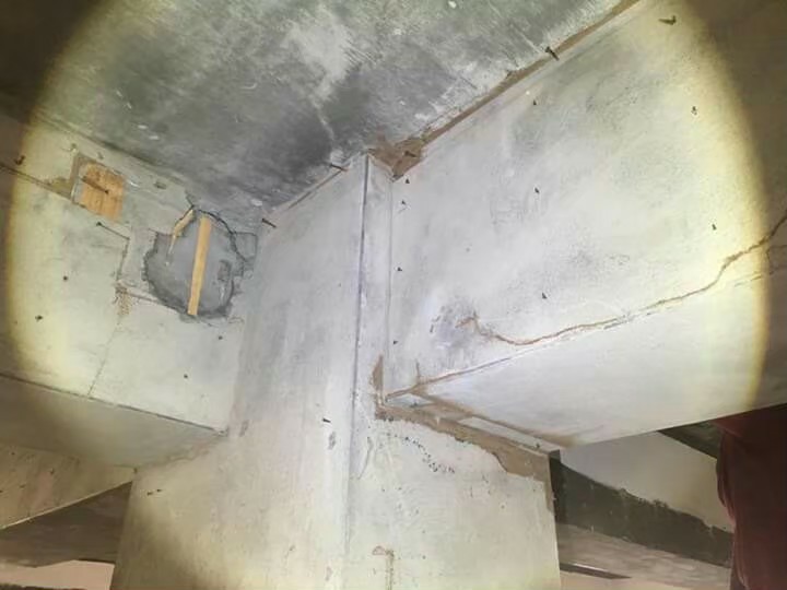 除白蟻案例&nbsp;