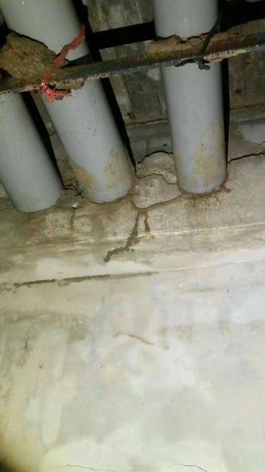 除白蟻案例&nbsp;