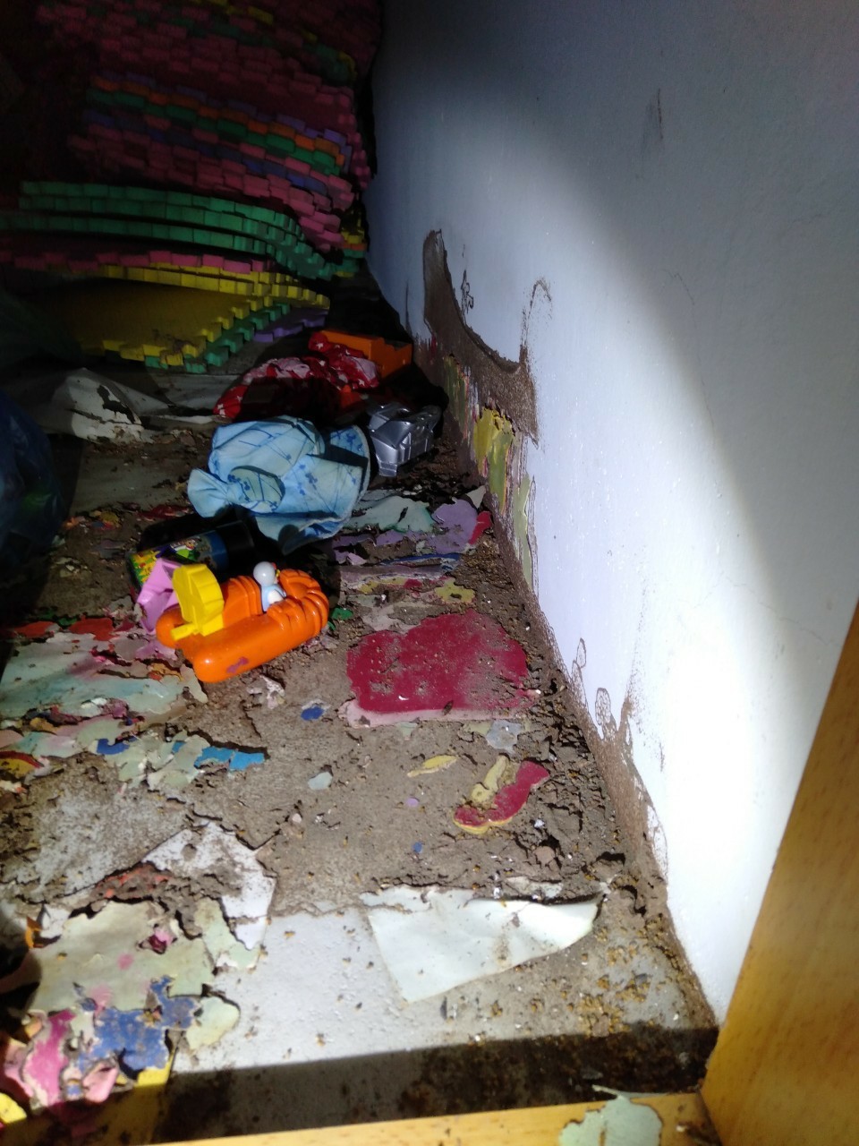 除白蟻案例&nbsp;