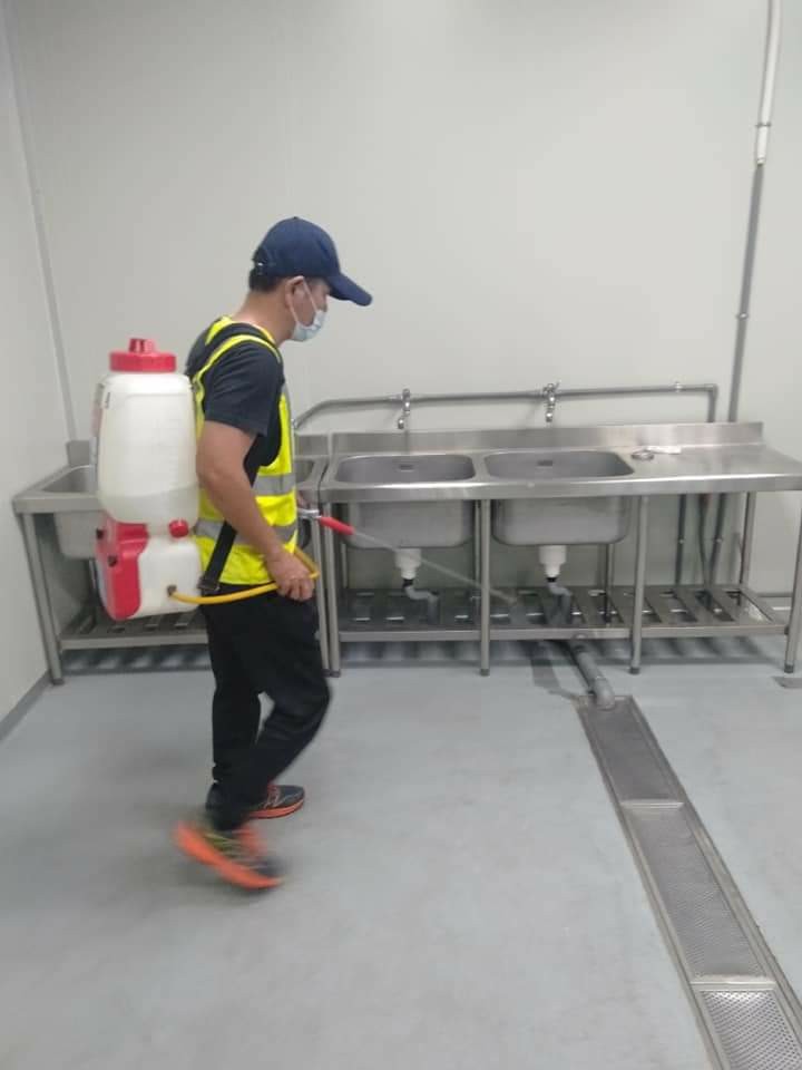 食品工廠蟑螂防治