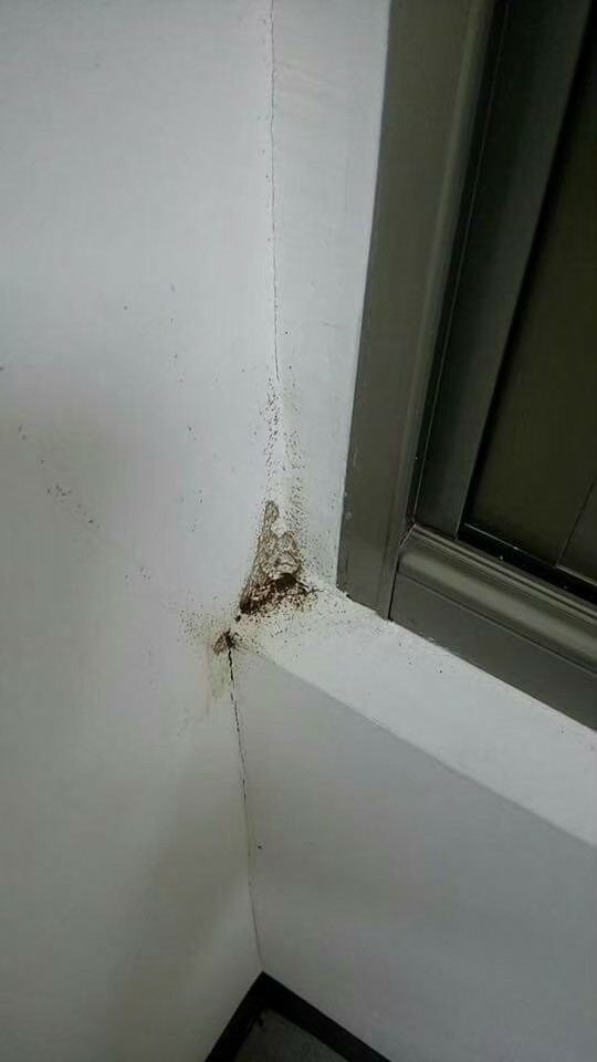 除白蟻案例&nbsp;