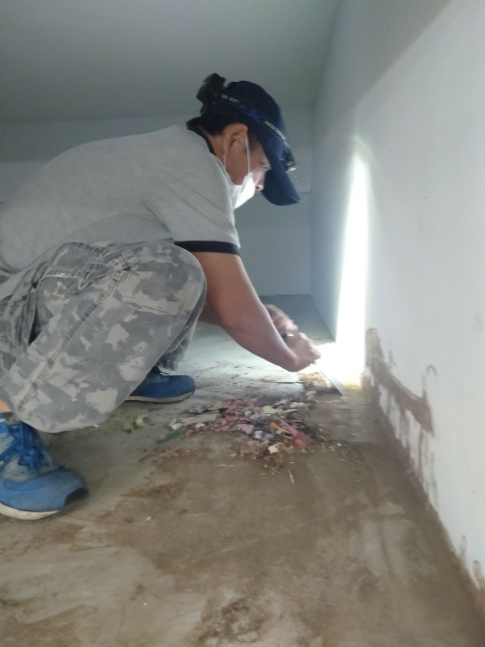 除白蟻案例&nbsp;