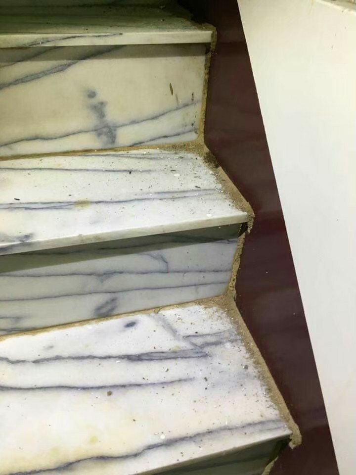 除白蟻案例&nbsp;