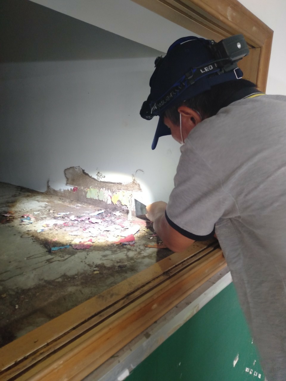 除白蟻案例&nbsp;