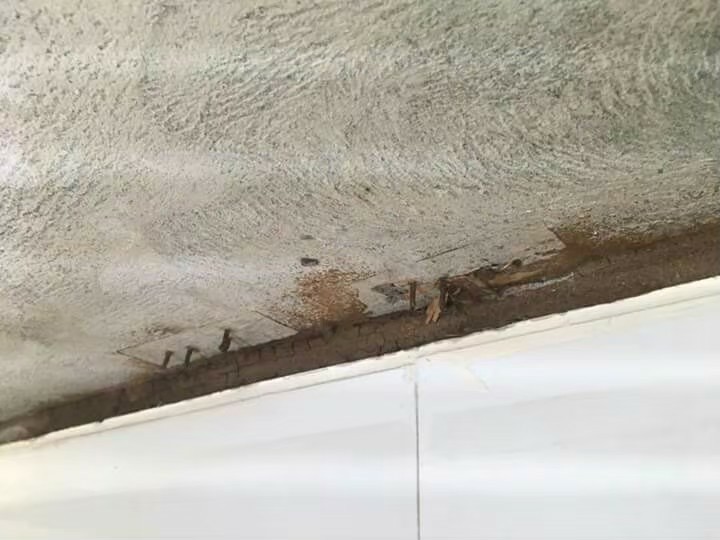 除白蟻案例&nbsp;