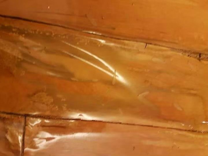 除白蟻案例&nbsp;