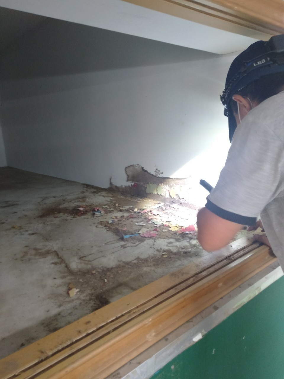 除白蟻案例&nbsp;