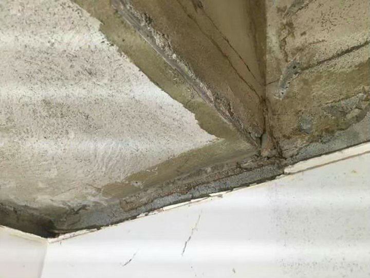 除白蟻案例&nbsp;