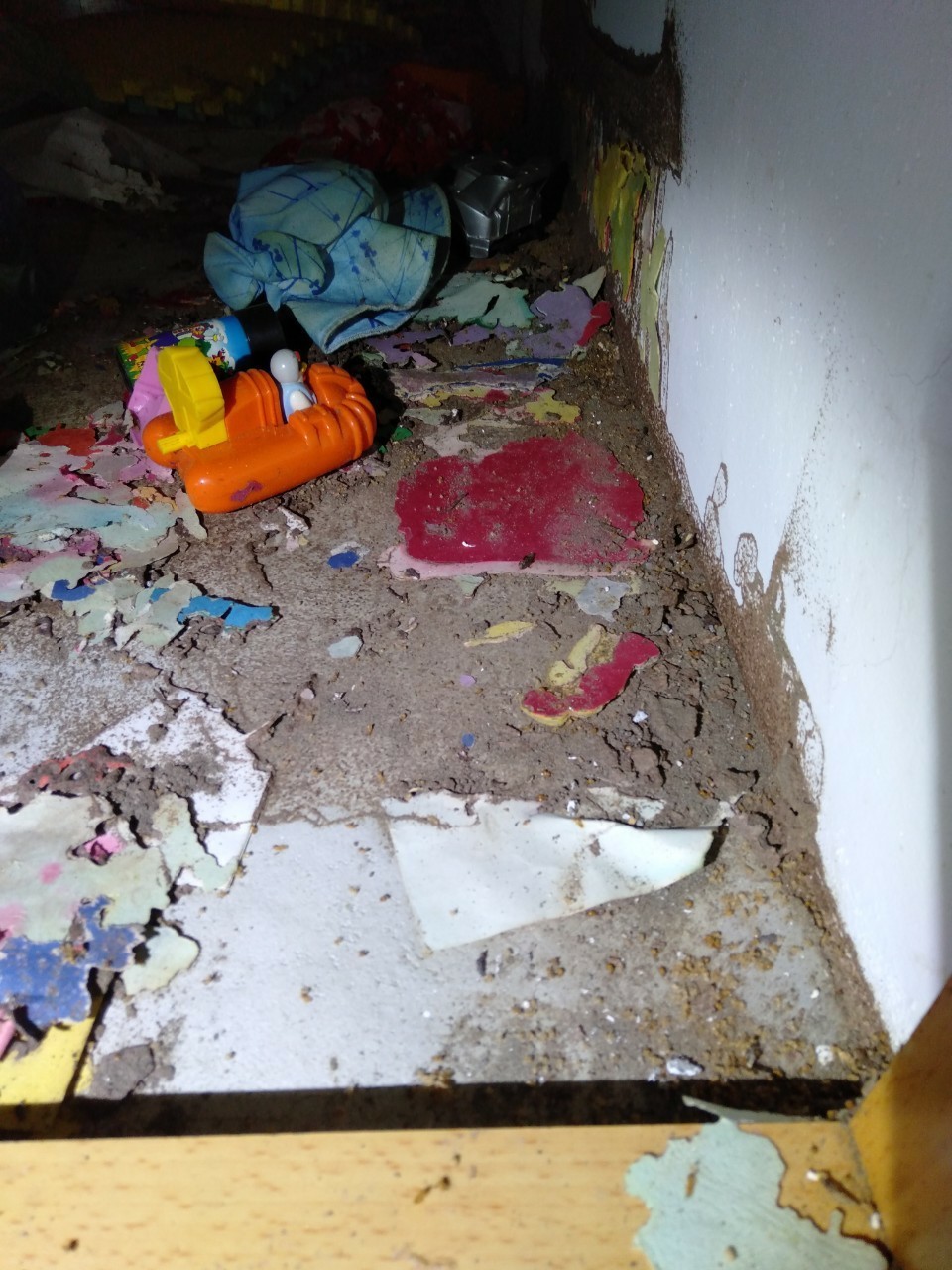 除白蟻案例&nbsp;