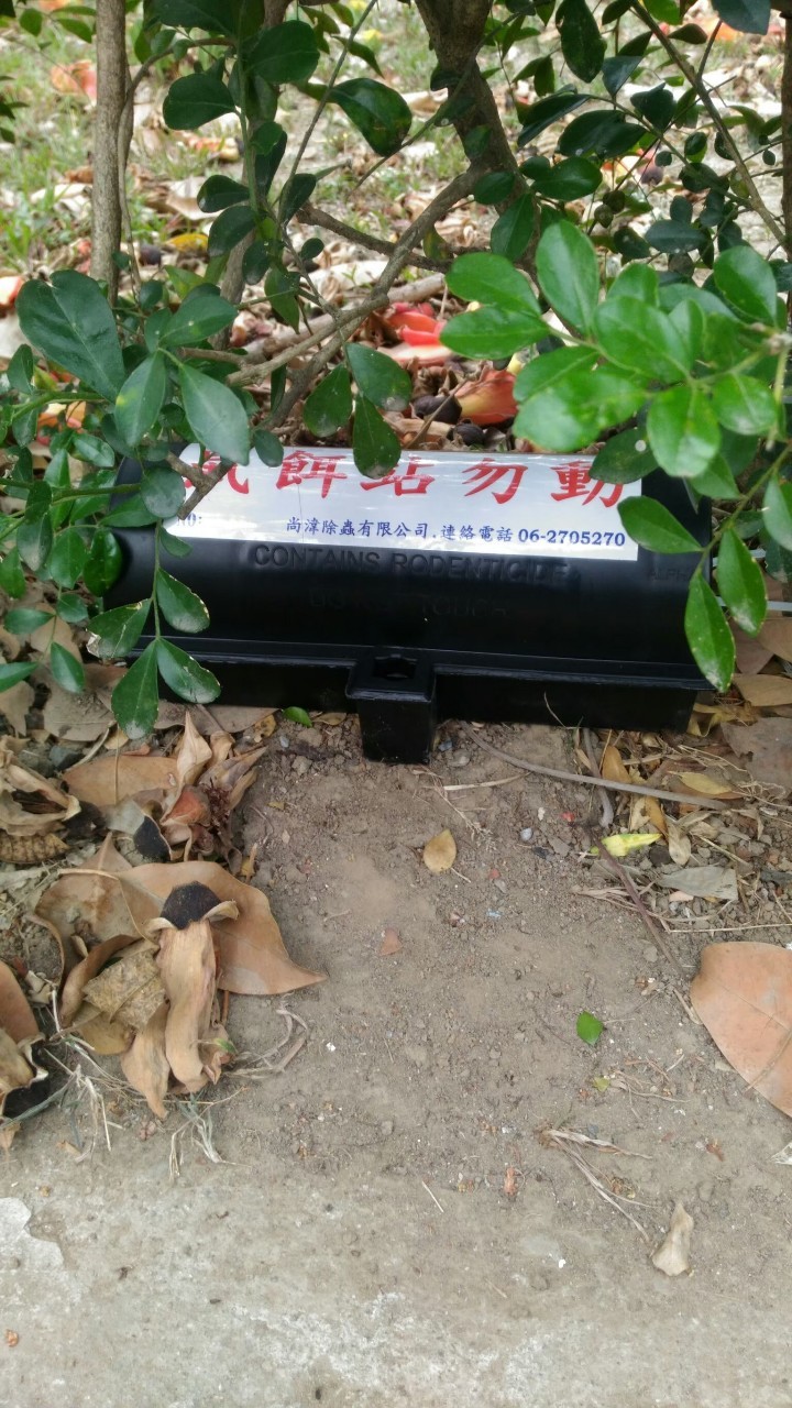 鼠餌站設置