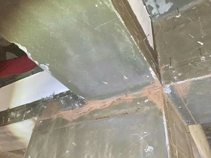 除白蟻案例&nbsp;