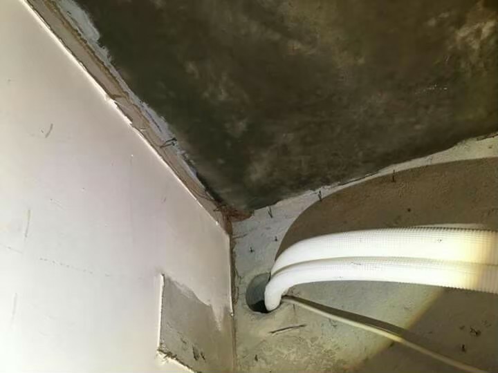 除白蟻案例&nbsp;