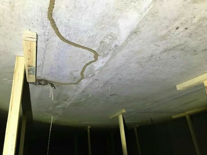 除白蟻案例&nbsp;